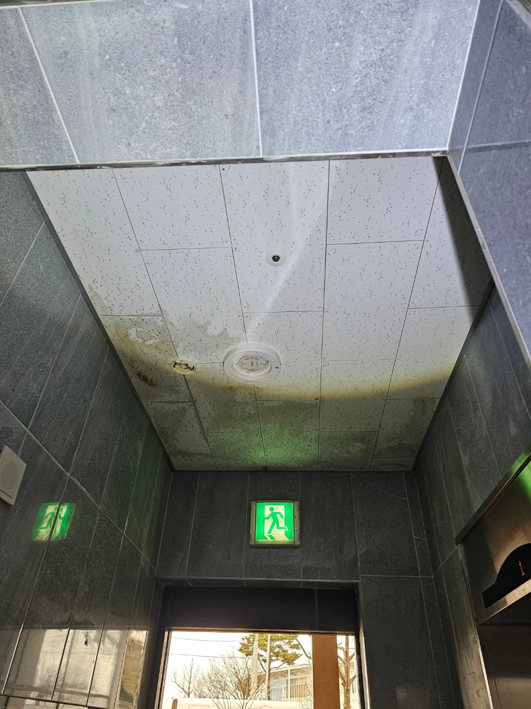 [점검기록] 외부 천장 물자국 근접 점검