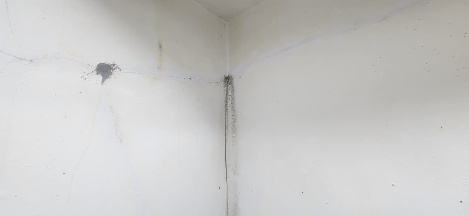 [점검기록] 보일러실 외벽 누수 현장 점검